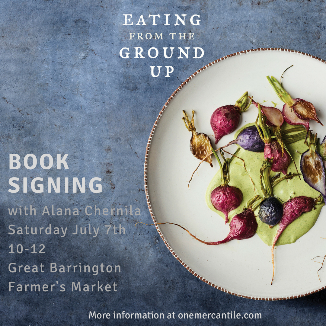 Farmer's Market Book Signing-Saturday July 7th!