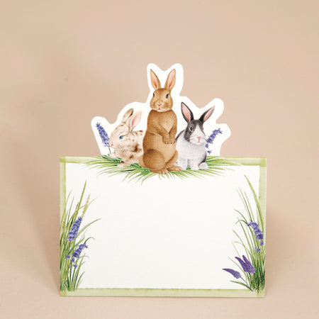 Caspari Paper Place Cards / Bunnies & Daffodils