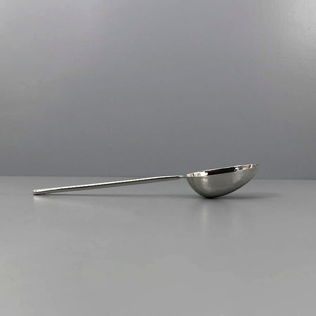 Jupiter Mirrored Stainless Steel Large Serving Spoon