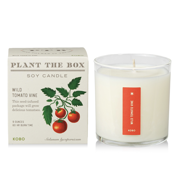 Plantable Box Seed Candles / Wild Tomato Vine + sett – One