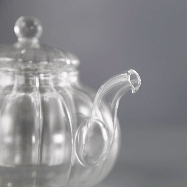 Clear Glass Teapot & Infuser - Golden Gait Mercantile