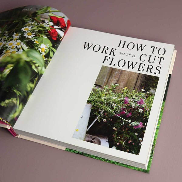 Field, Flower, Vase + sett One Mercantile / Sett