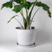 Recycled Tapered Planter 12" / Stone White