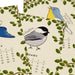 2026 Favorite Story Desk Calendar / Birds