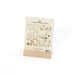 2026 Favorite Story Desk Calendar / Pressed Flowers