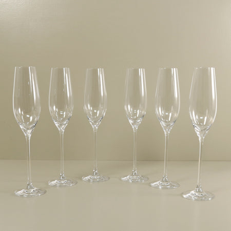 RONA Celebration Champagne Flute / Set of 6