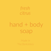 Essential Oil Liquid Hand + Body Soap / Fresh Citrus