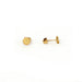 Hexagon Studs / Gold Plate