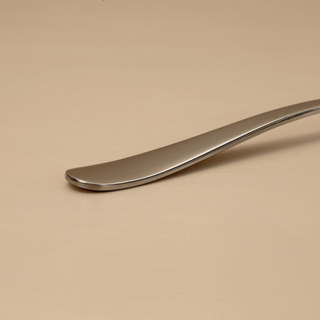 Alpia Stainless Serving Spoon