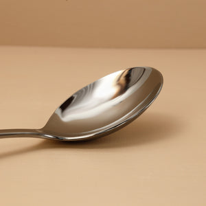 Alpia Stainless Serving Spoon