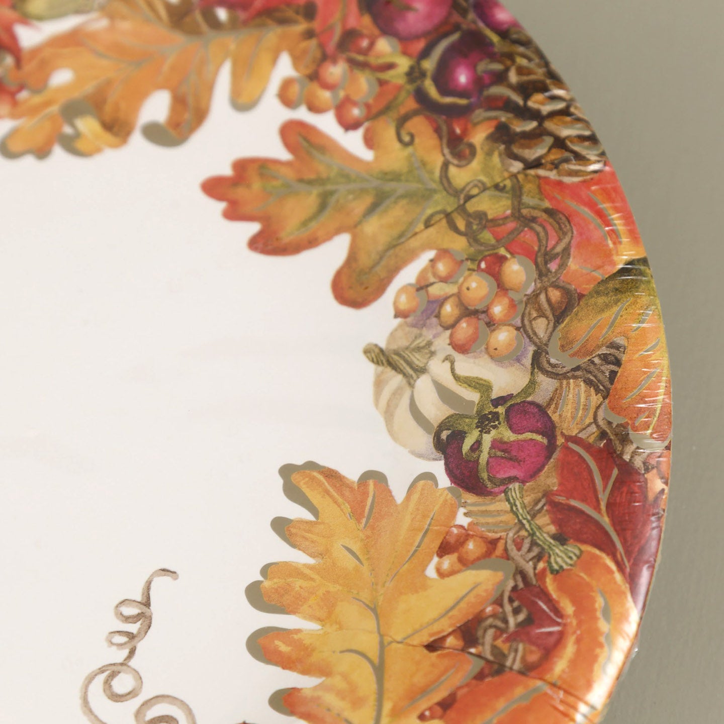 Caspari Thanksgiving Setting Paper Dinner Plates - 8 Per Package