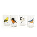 Illustrated Bird Glasses / 7oz