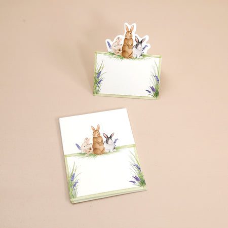 Caspari Paper Place Cards / Bunnies & Daffodils