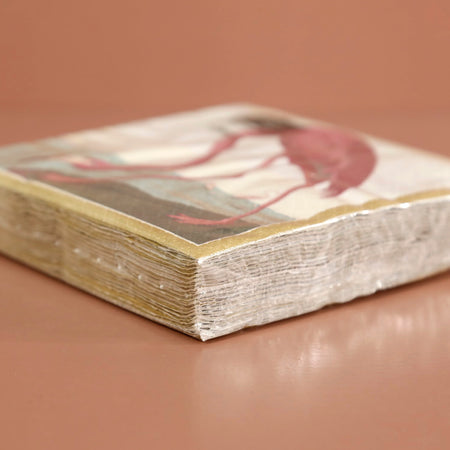 Caspari Paper Cocktail Napkins / Audubon Birds