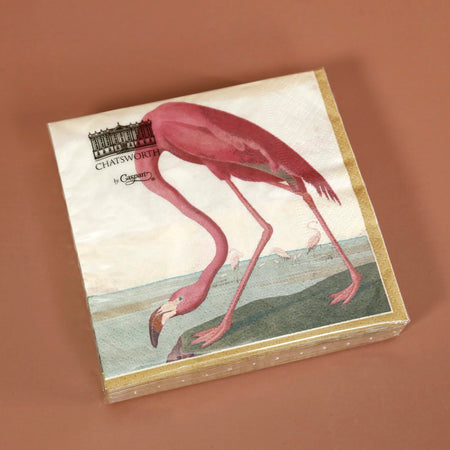 Caspari Paper Cocktail Napkins / Audubon Birds