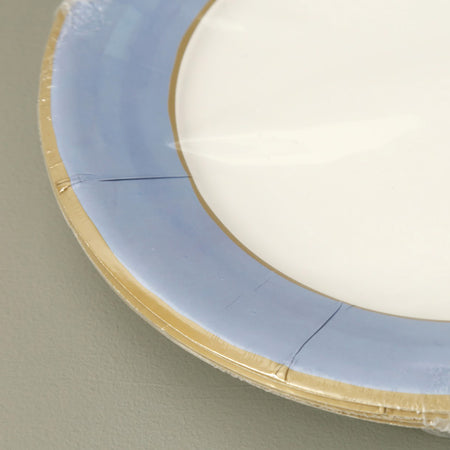 Caspari Paper Dinner Plates / Watercolor Blue