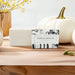 Shea Butter Soap Bar / Pumpkin & Cardamom