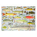Freshwater Fish Puzzle