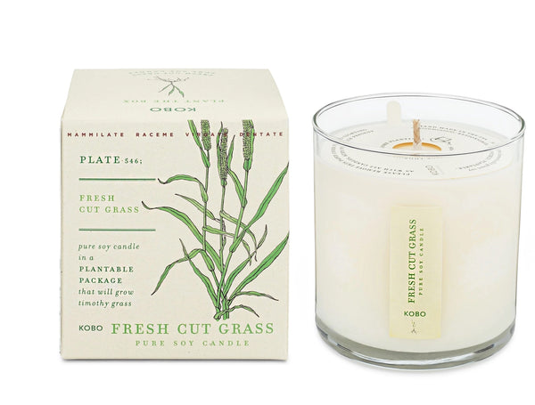 Plantable Box Seed Candles / Fresh Cut Grass