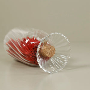 Helix Blown Glass Cloche w/ All Red Matches