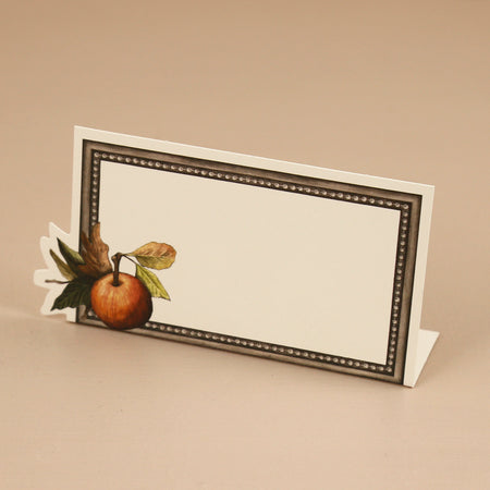Hester & Cook Paper Place Cards / Heirloom Apples