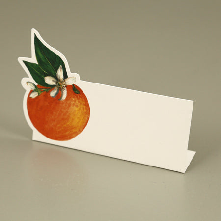 Hester & Cook Paper Place Cards / Orange Orchard