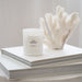 House Of Mahina Candle / Isla Luminosa