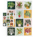 Houseplants Puzzle