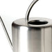 Large Stainless Steel Watering Can / Silver
