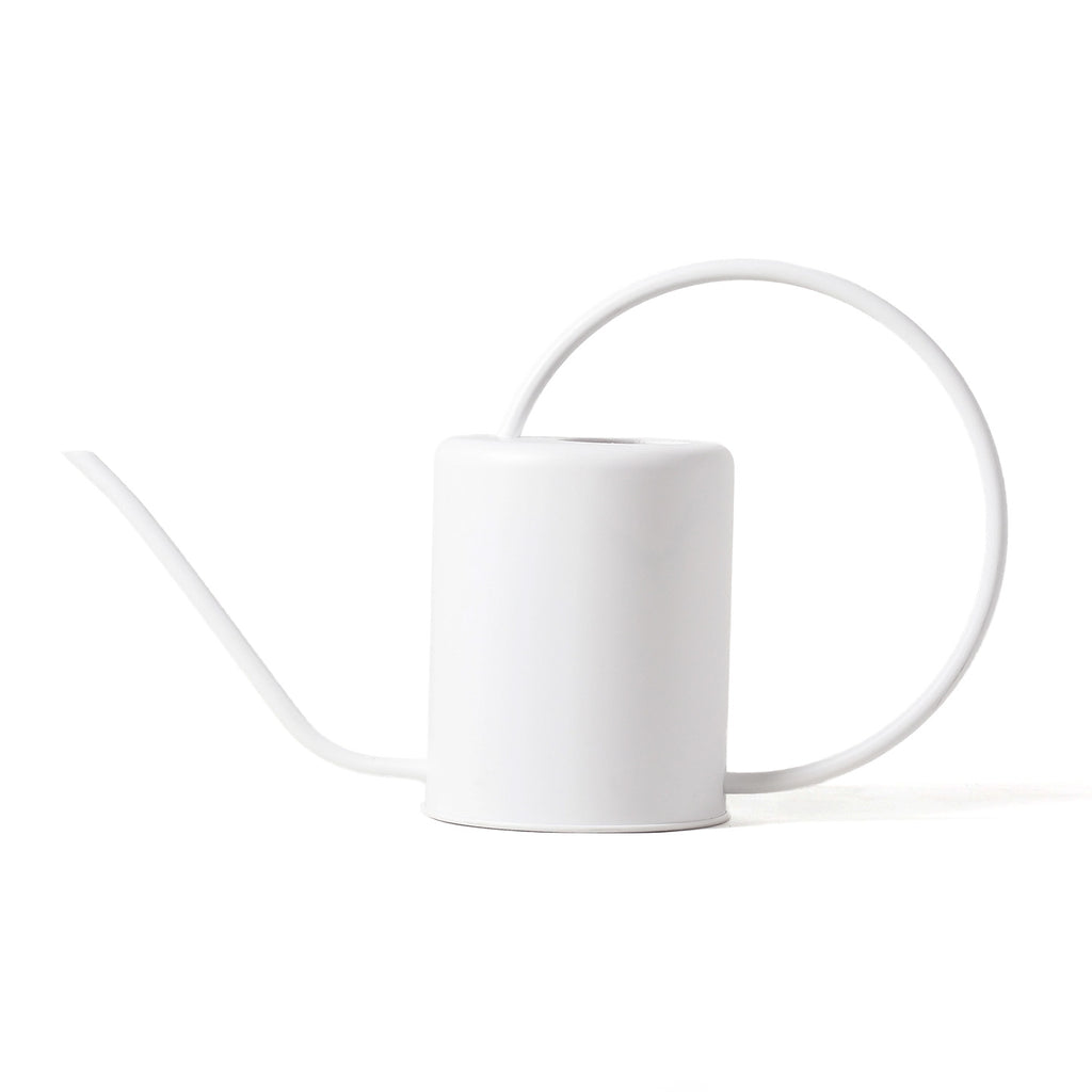 Large Stainless Steel Watering Can / White