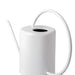 Large Stainless Steel Watering Can / White