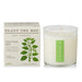 Plantable Box Seed Candles / Fresh Picked Basil