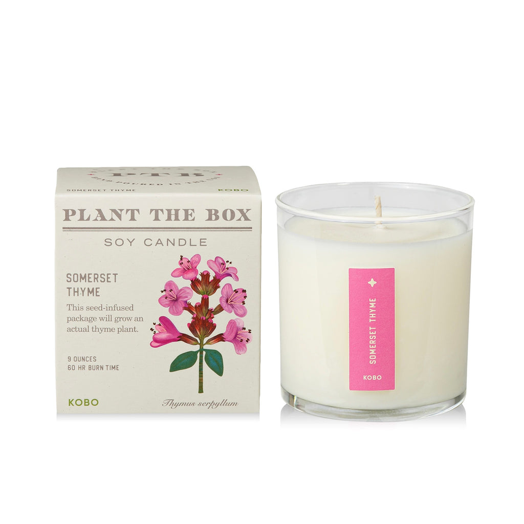 Plantable Box Seed Candles / Somerset Thyme
