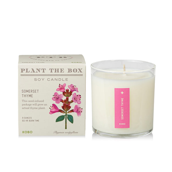 Plantable Box Seed Candles / Somerset Thyme