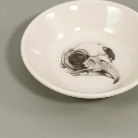 Laura Zindel Sauce Bowl / Owl Skull