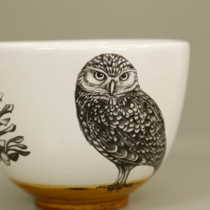 Laura Zindel Small Deep Bowl / Burrowing Owl