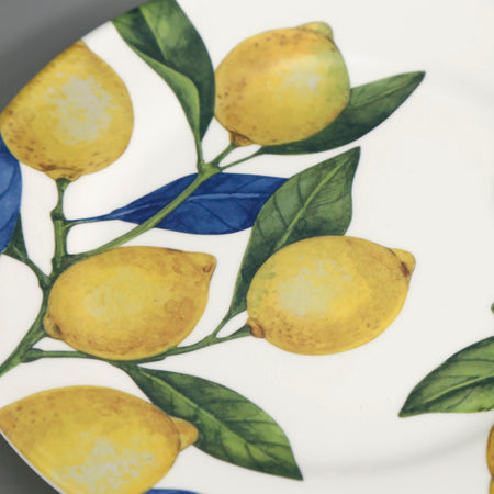 Lemon Orchard Melamine Dinner Plate