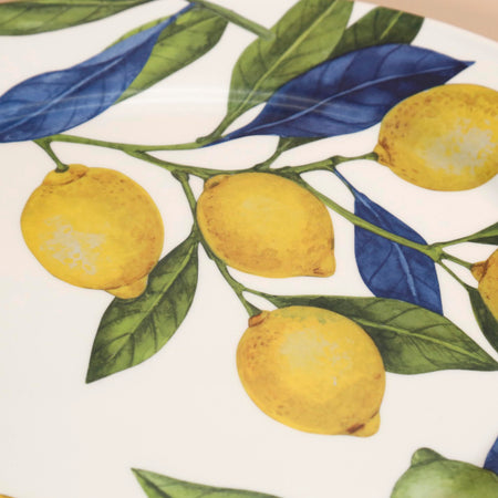 Lemon Orchard Melamine Oval Platter