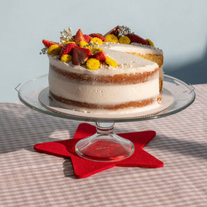 Graf Lantz Felt Trivet / Red Star