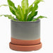 Minute Big Planter / Terra