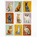 Nine Lives Puzzle