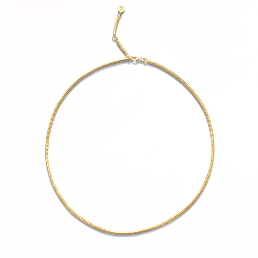 Omega Chain Necklace