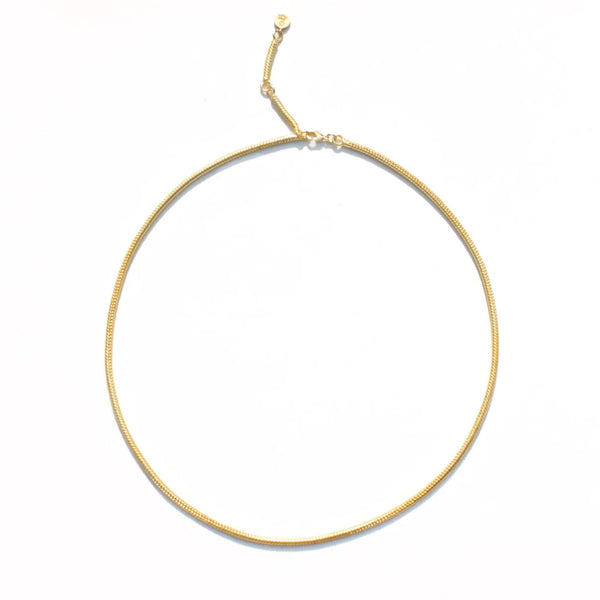 Omega Chain Necklace