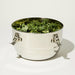 Package Free Stainless Steel Airtight Container / 26cm