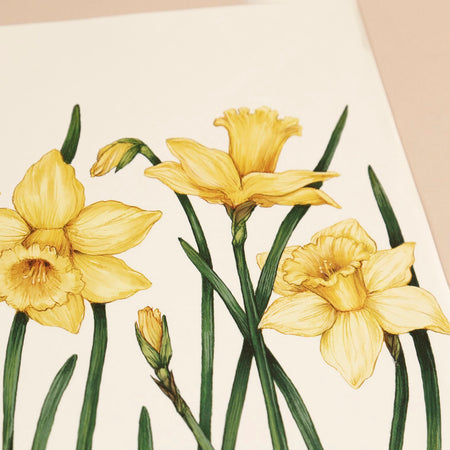 Paper Placemat Pack / Field of Daffodils