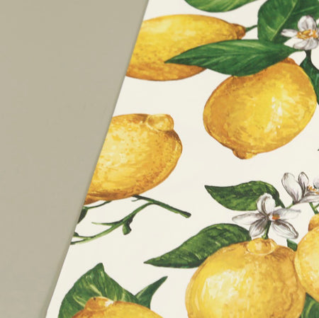 Paper Placemat Pack / Lemons