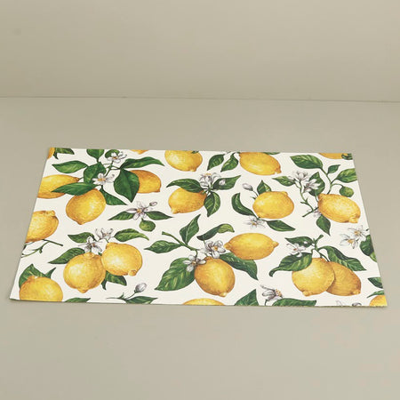 Paper Placemat Pack / Lemons