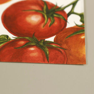 Paper Placemat Pack / Tomato Vine