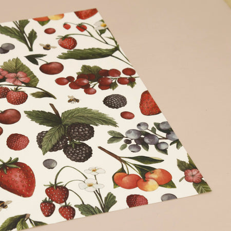 Paper Placemat Pack / Wild Berry