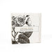 Formulary 55 Botanical Gift Set / Vintage Peony